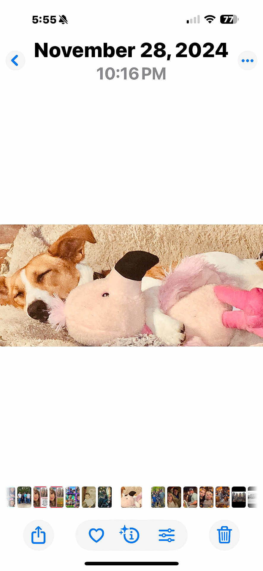 Bocephus is registered to the contest to win money with this photo: dog, sleeping, plush_toy, pink, flamingo, blanket, cozy, nap, cute, pet, fur, animal, relaxing, indoors, soft, comfort, resting, snuggle, adorable, companion