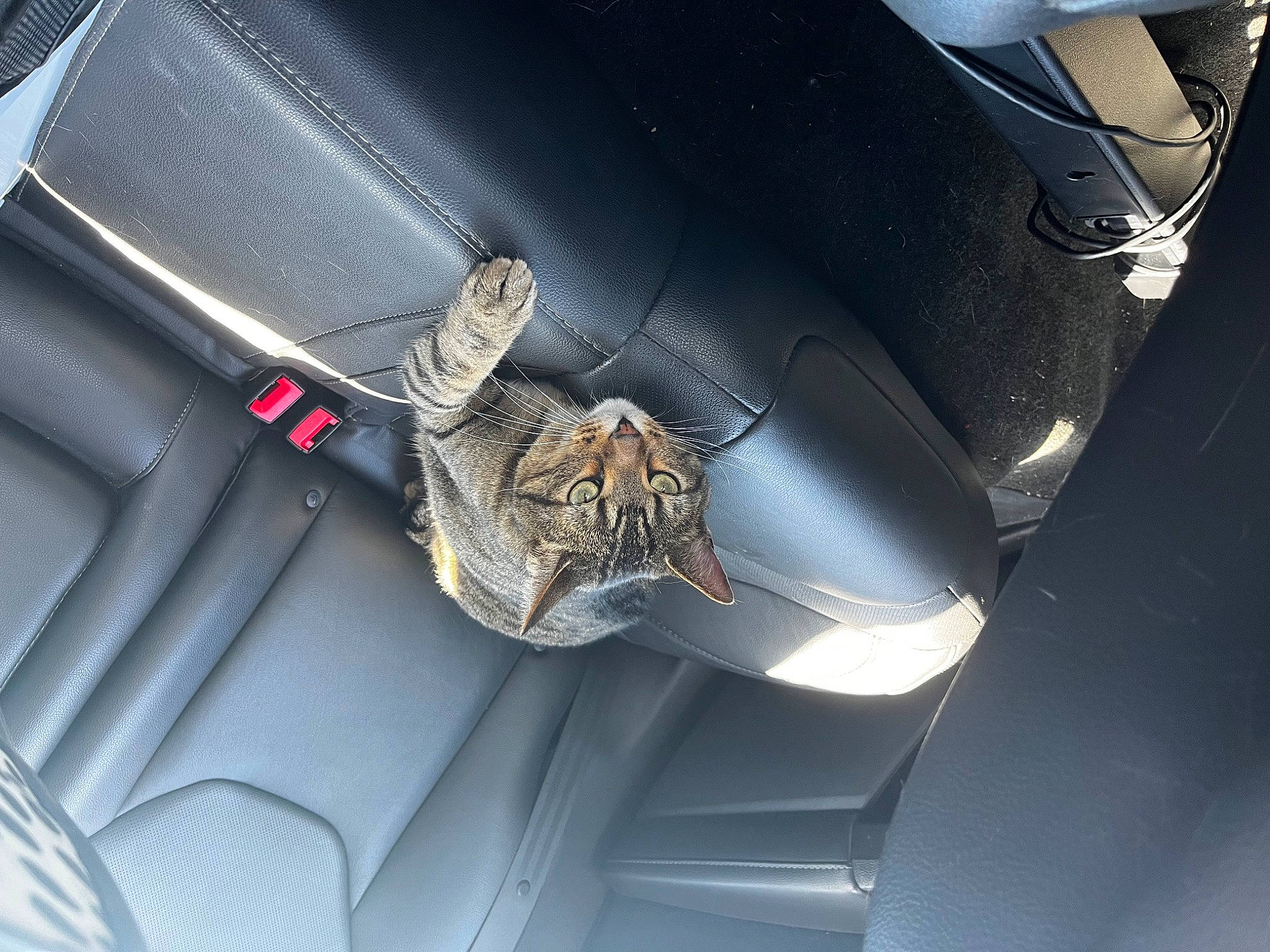 Buttons is registered to the contest to win money with this photo: auto_part, automotive_design, automotive_exterior, automotive_lighting, automotive_wheel_system, bumper, car, electric_blue, emblem, family_car, fixture, hood, luxury_vehicle, metal, mid_size_car, motor_vehicle, personal_luxury_car, trunk, vehicle, vehicle_door