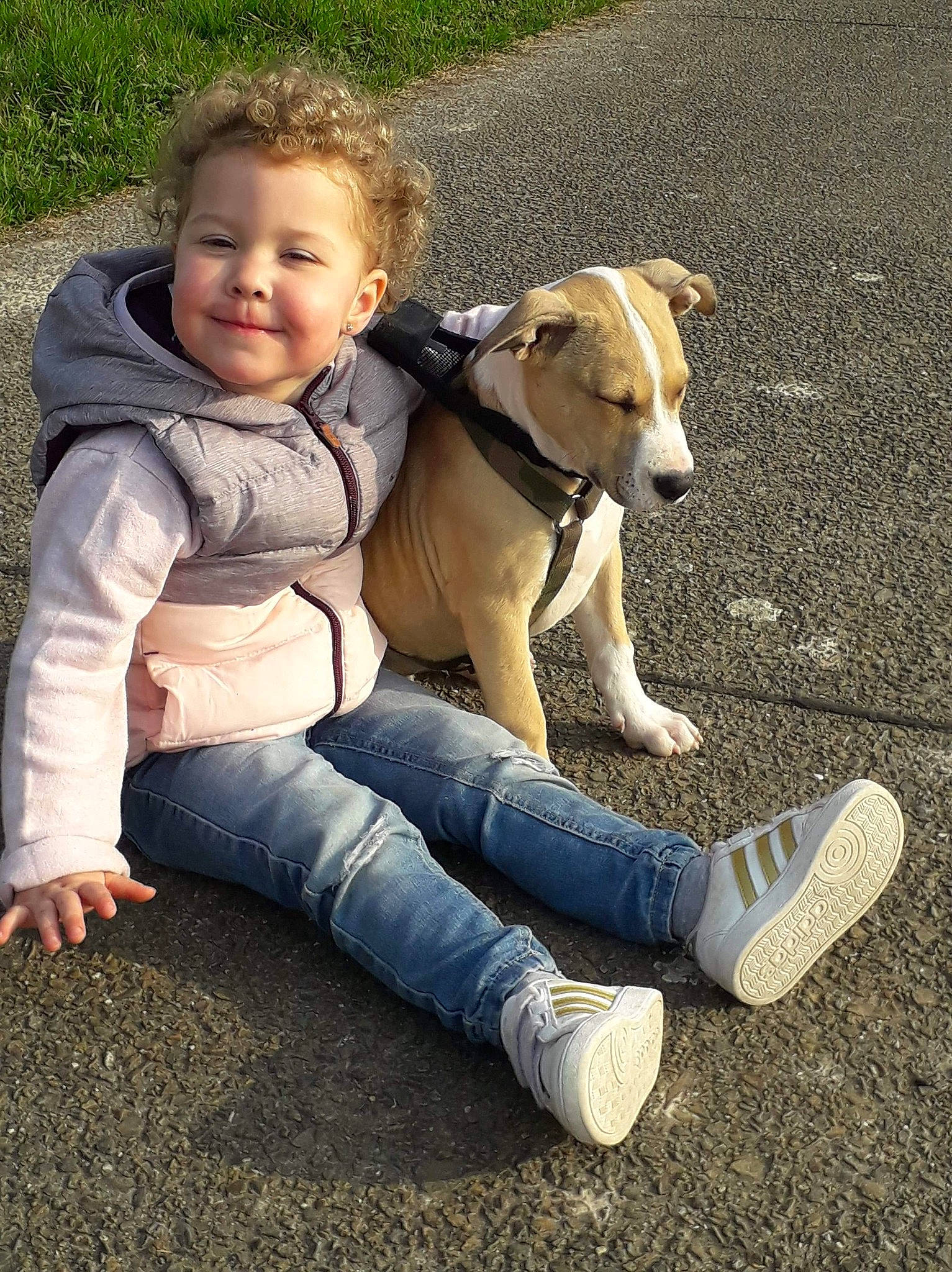 Zarko participe au concours pour gagner de l'argent avec cette photo : canidae, carnivore, comfort, companion_dog, dog, dog_breed, fawn, grass, happy, jeans, lap, leg, people_in_nature, shoe, sitting, smile, sneakers, sporting_group, tail, toddler