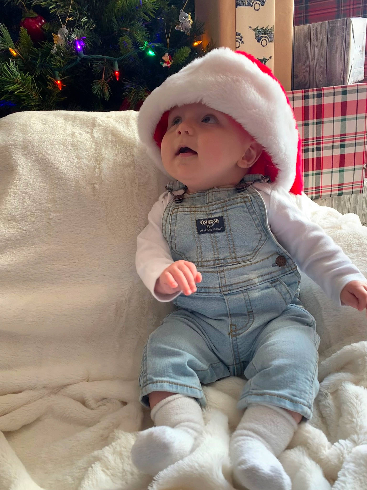 Everett joined the competition — help win amazing prizes! baby, baby_toddler_clothing, child, christmas_tree, comfort, event, fun, fur, happy, headwear, holiday, human_body, lap, outerwear, pattern, person, plaid, sitting, sleeve, tartan