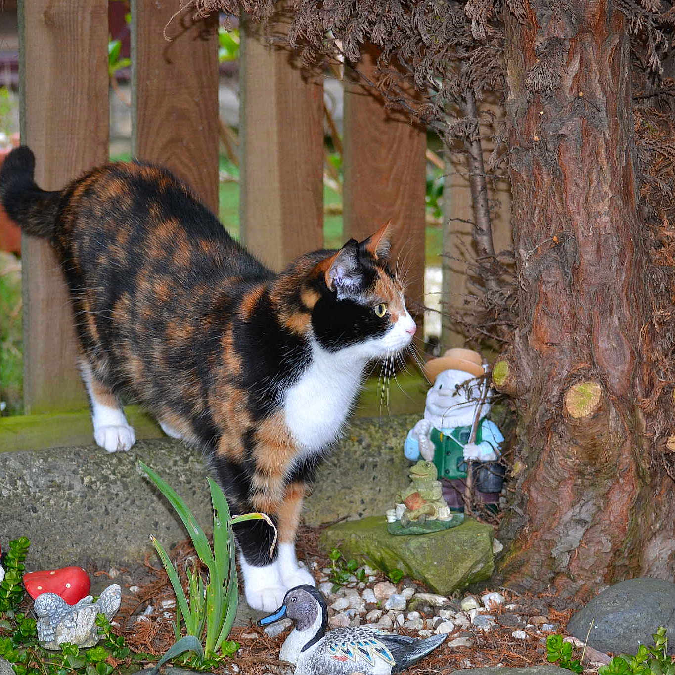 Tinkerbell joined the competition — help win amazing prizes!