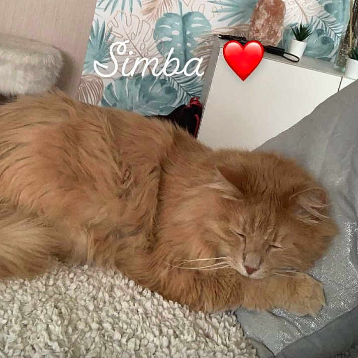 Sam