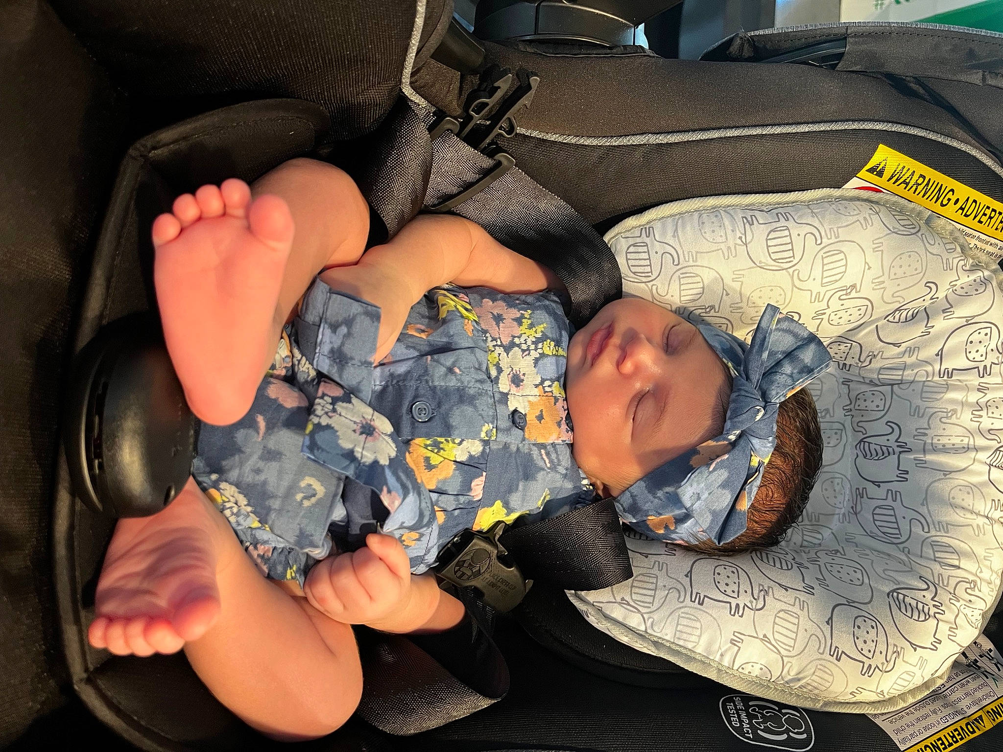 Francesca is registered to the contest to win money with this photo: auto_part, baby, baby_in_car_seat, baby_products, baby_toddler_clothing, car_seat, child, comfort, finger, fun, headwear, human_leg, knee, lap, nap, person, room, sitting, sleep, thigh