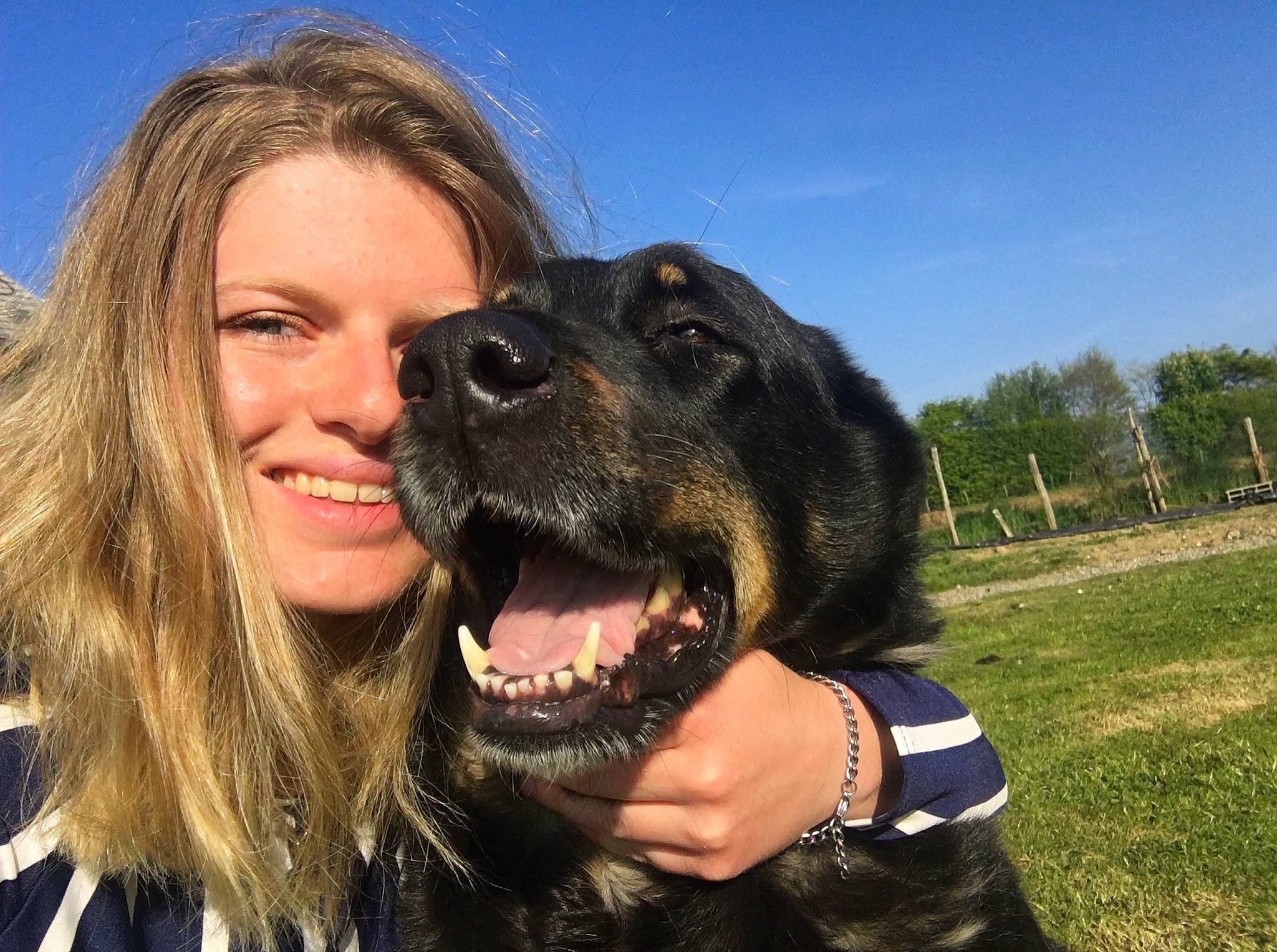 Flicka participe au concours pour gagner de l'argent avec cette photo : canidae, carnivore, caucasian_shepherd_dog, companion_dog, dog, dog_breed, giant_dog_breed, mammal, photography, selfie, snout, sporting_group, vertebrate