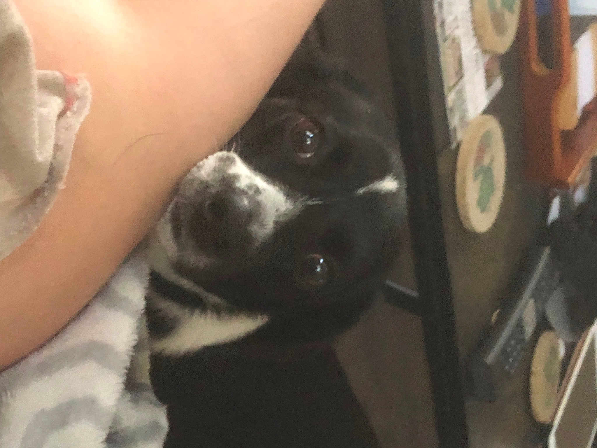 Nash