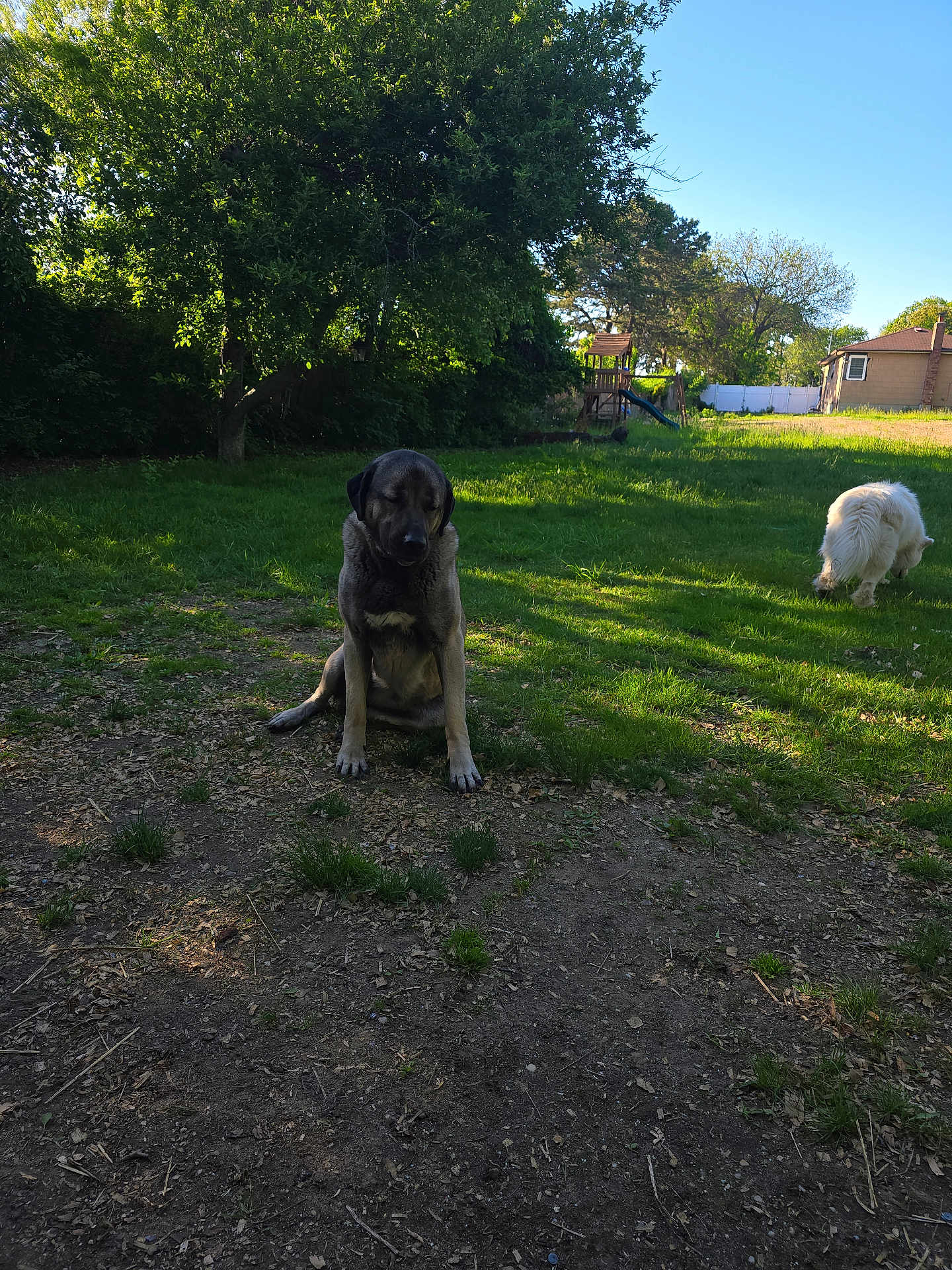 Nala