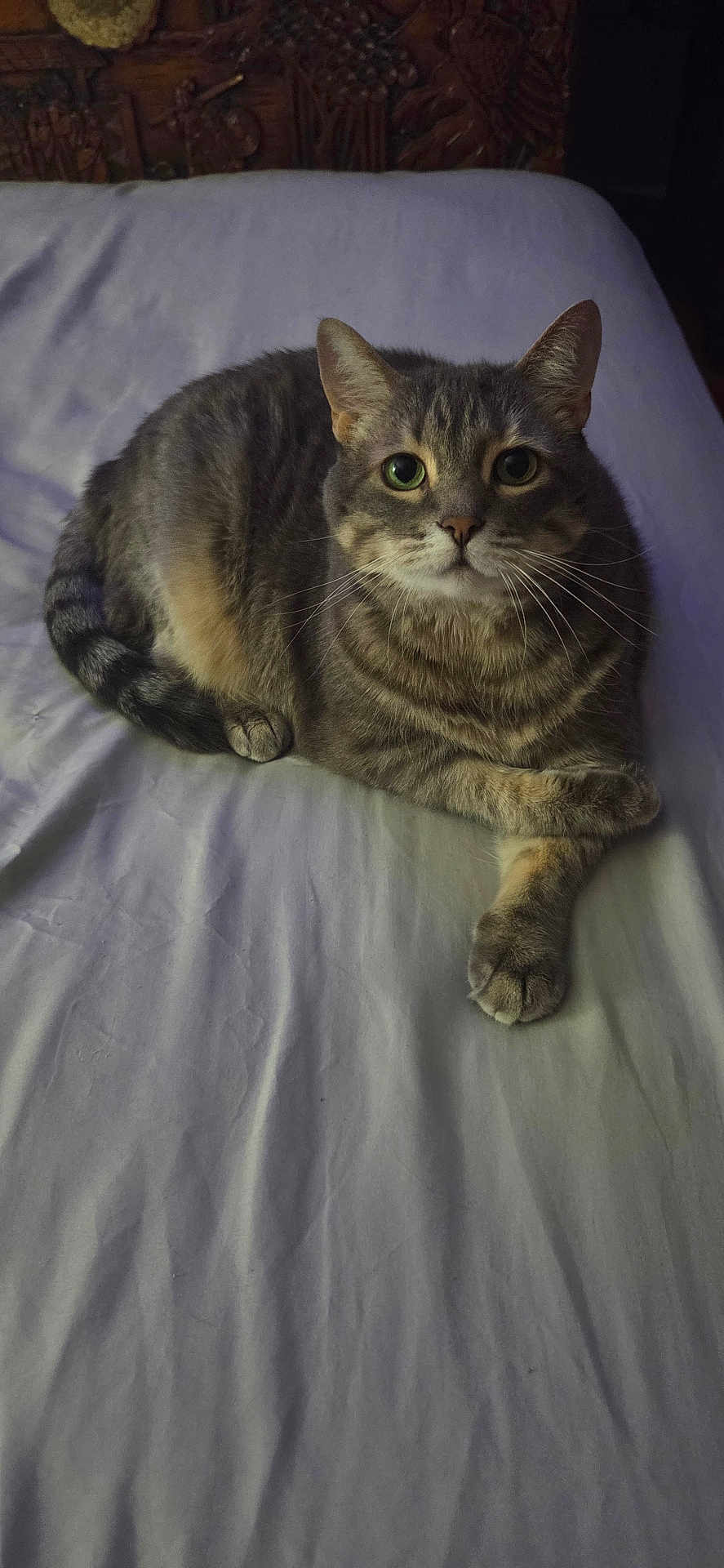 Kiki