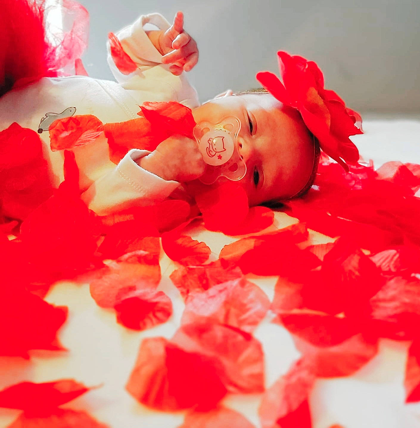 Maddy a rejoint le concours — aidez-le/la à gagner de superbes lots ! cake, cake_decorating, carmine, close_up, cut_flowers, dress, event, happy, headpiece, icing, nail, orange, peach, person, petal, pink, rose_family, sugar_cake, sweetness, textile