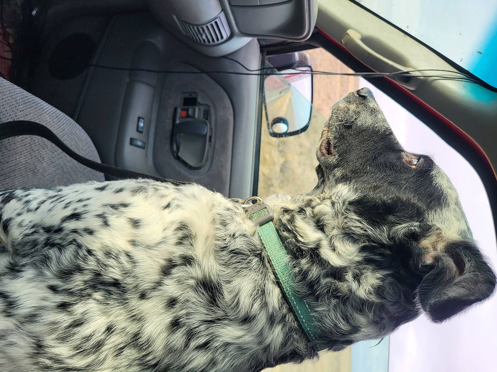 Blizzard joined the competition — help win amazing prizes! army, auto_part, automotive_design, car, car_seat, car_seat_cover, carnivore, dog, dog_breed, gear_shift, gesture, military_camouflage, military_person, motor_vehicle, personal_luxury_car, snout, steering_wheel, vehicle, vehicle_door, window