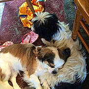 Ellie Mae joined the competition — help win amazing prizes!