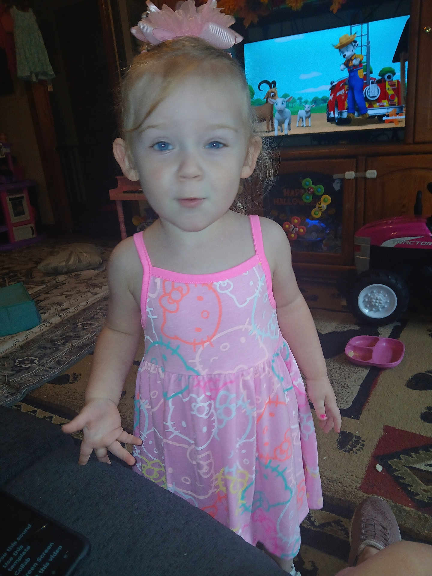 Roe joined the competition — help win amazing prizes! toddler, child, dress, hello_kitty, bow, indoor, living_room, toy, cartoon, television, carpet, footwear, carpet_pattern, pink, hand, face, person, furniture, floor, expression