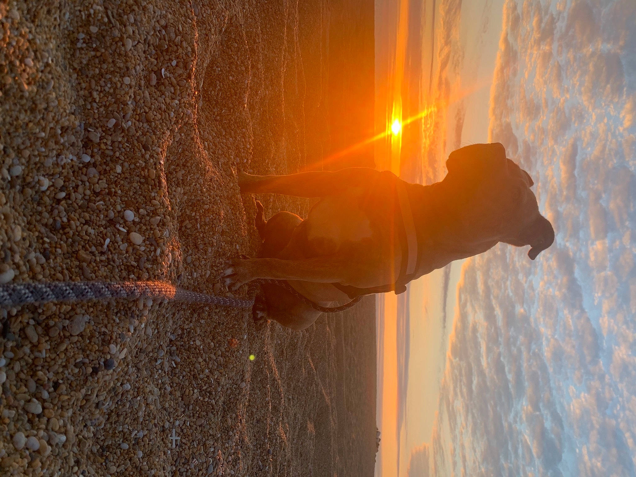 Palma a rejoint le concours — aidez-le/la à gagner de superbes lots ! heat, lens_flare, light, sunlight, wood