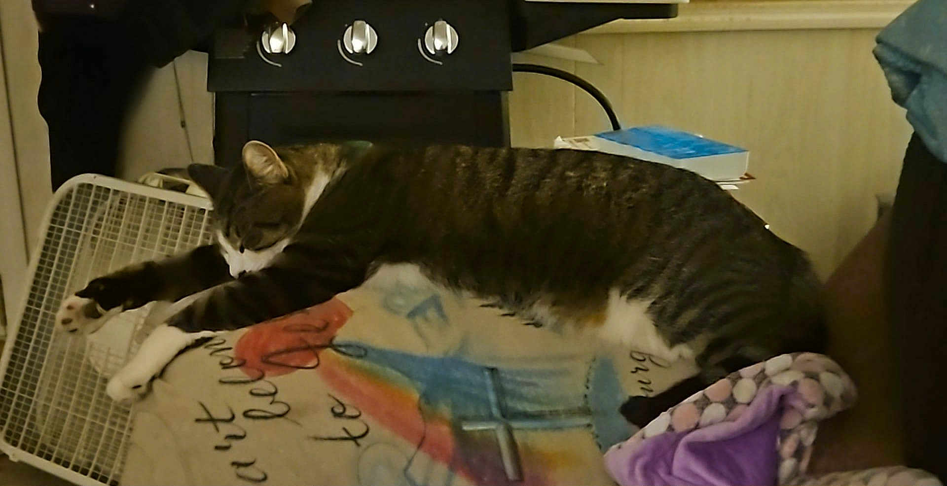 Trigger joined the competition — help win amazing prizes! cat, tabby_cat, stretching, blanket, chair, fan, stove, kitchen, indoor, furniture, relaxing, pet, animal, cozy, domestic, resting, colorful, patterned, purple_blanket, home