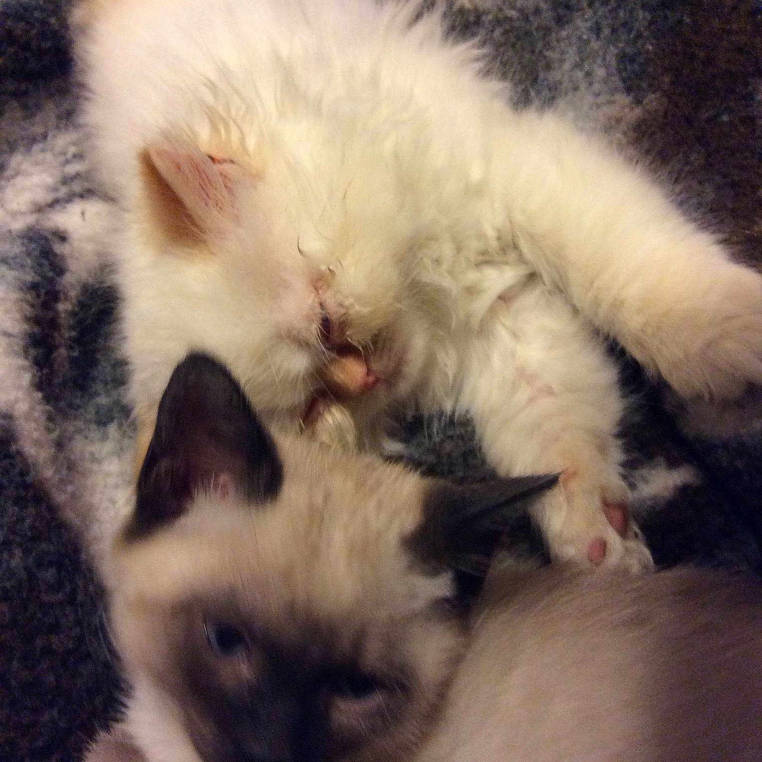 Lila is registered to the contest to win money with this photo: