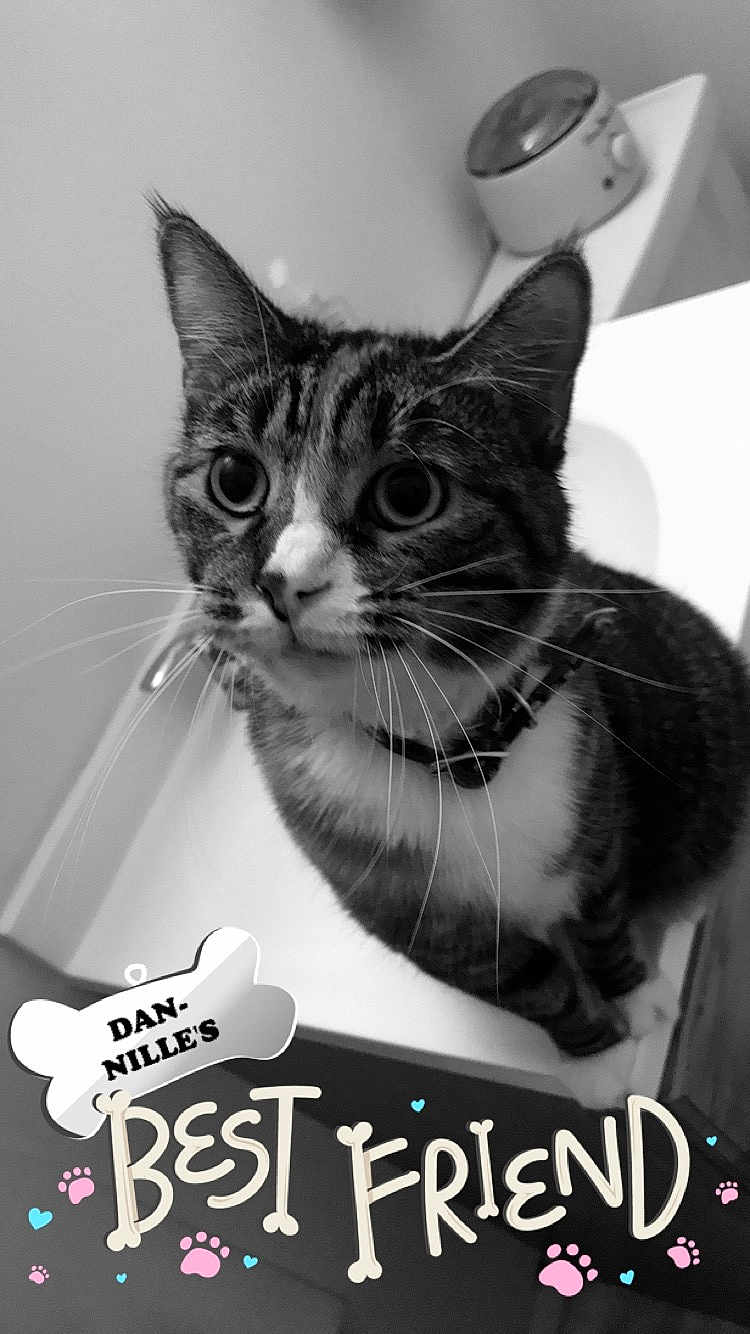 Kitty