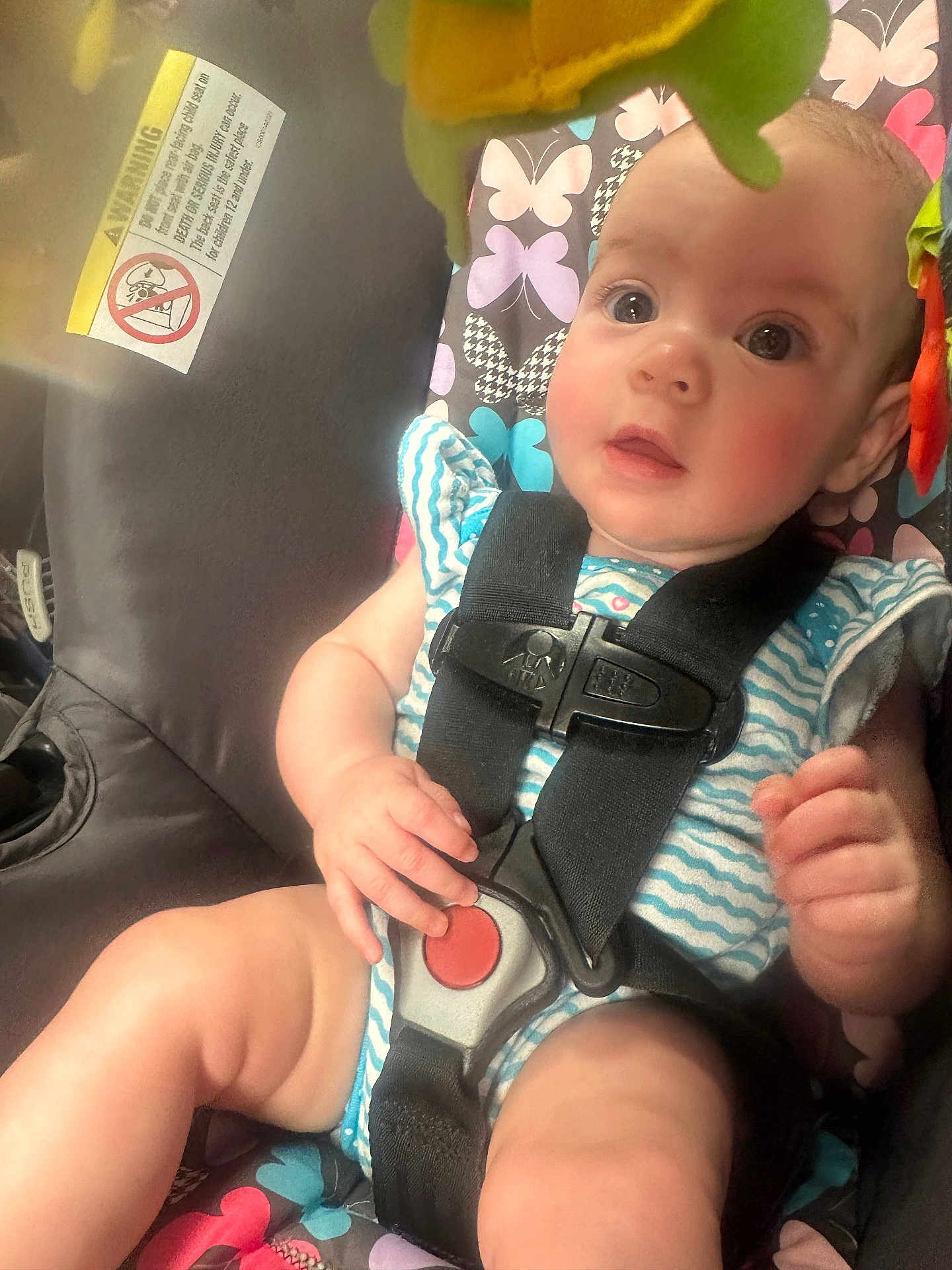 Harper joined the competition — help win amazing prizes! baby, child, car_seat, safety_harness, infant, colorful, pattern, butterfly, clothing, cute, hand, face, seat, straps, expression, indoor, person, skin, young, closeup