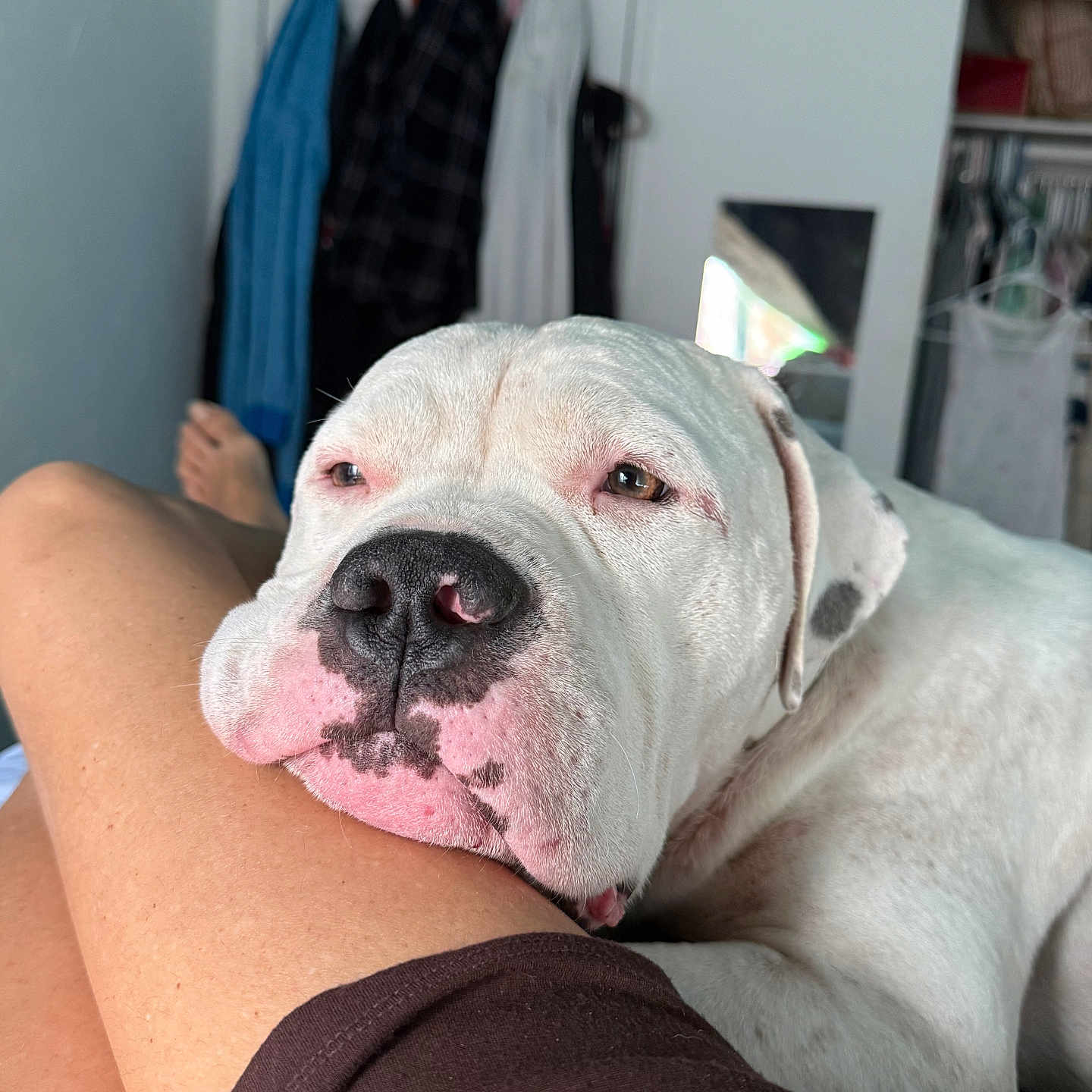Chunk