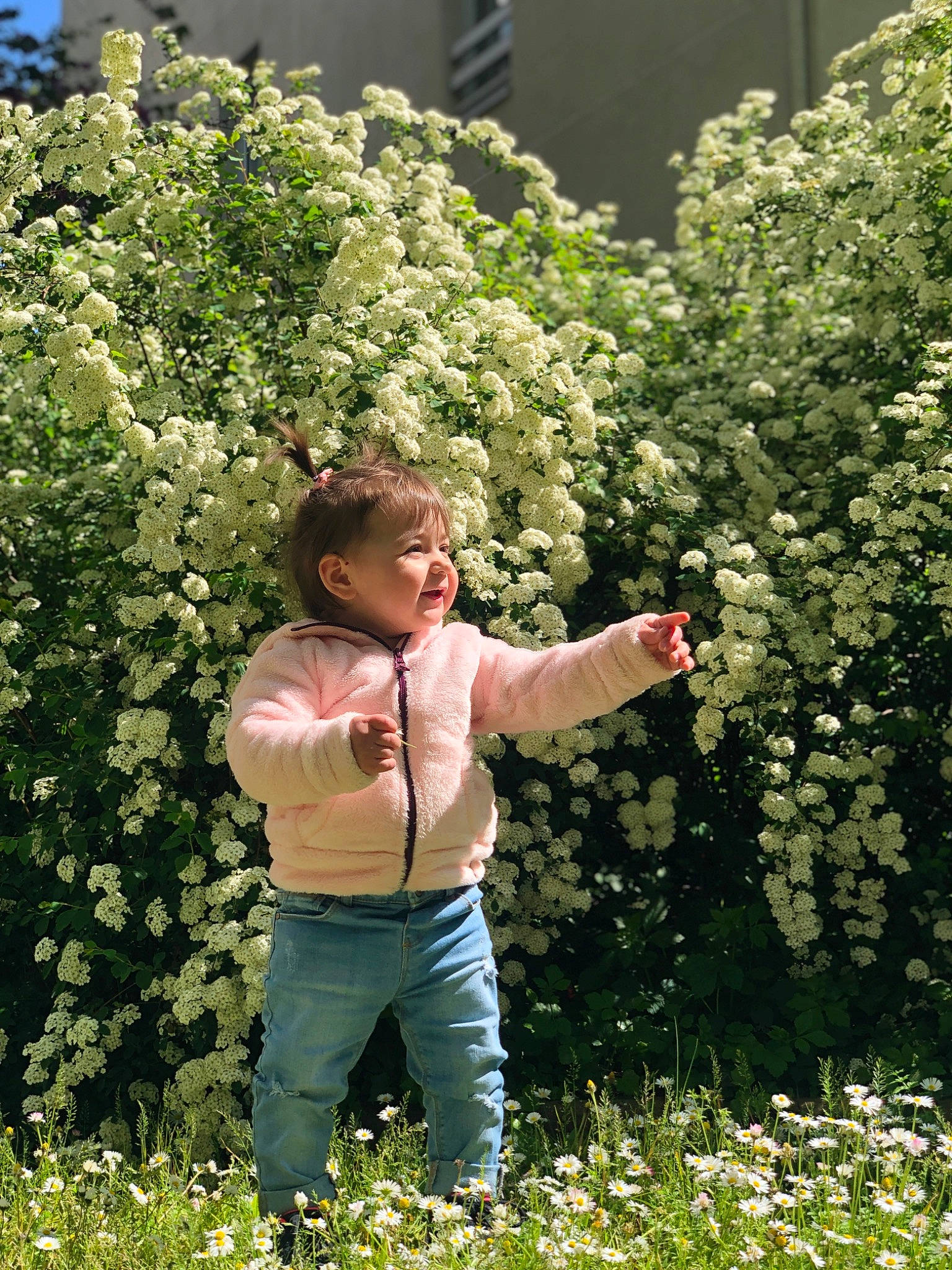 Berenic Beatris participe au concours pour gagner de l'argent avec cette photo : annual_plant, botany, clothing, flower, flowering_plant, garden, gesture, grass, groundcover, happy, hedge, house, lawn, leaf, people_in_nature, person, plant, rose_family, shrub, smile