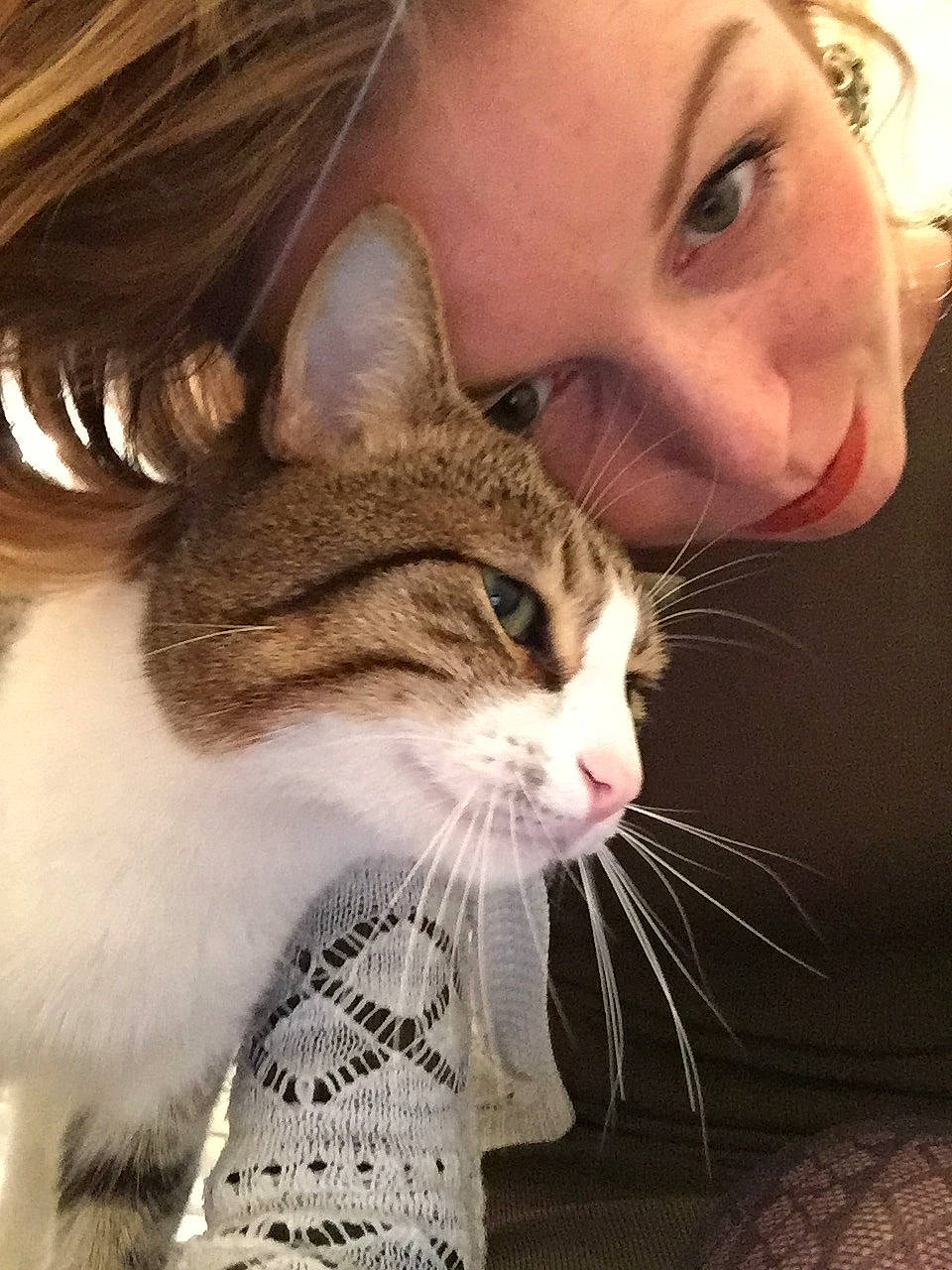 Mouffi a rejoint le concours — aidez-le/la à gagner de superbes lots ! aegean_cat, asian, carnivore, cat, cheek, domestic_short_haired_cat, ear, european_shorthair, eye, felidae, fur, hair, nose, person, photography, selfie, skin, small_to_medium_sized_cats, snout, tabby_cat