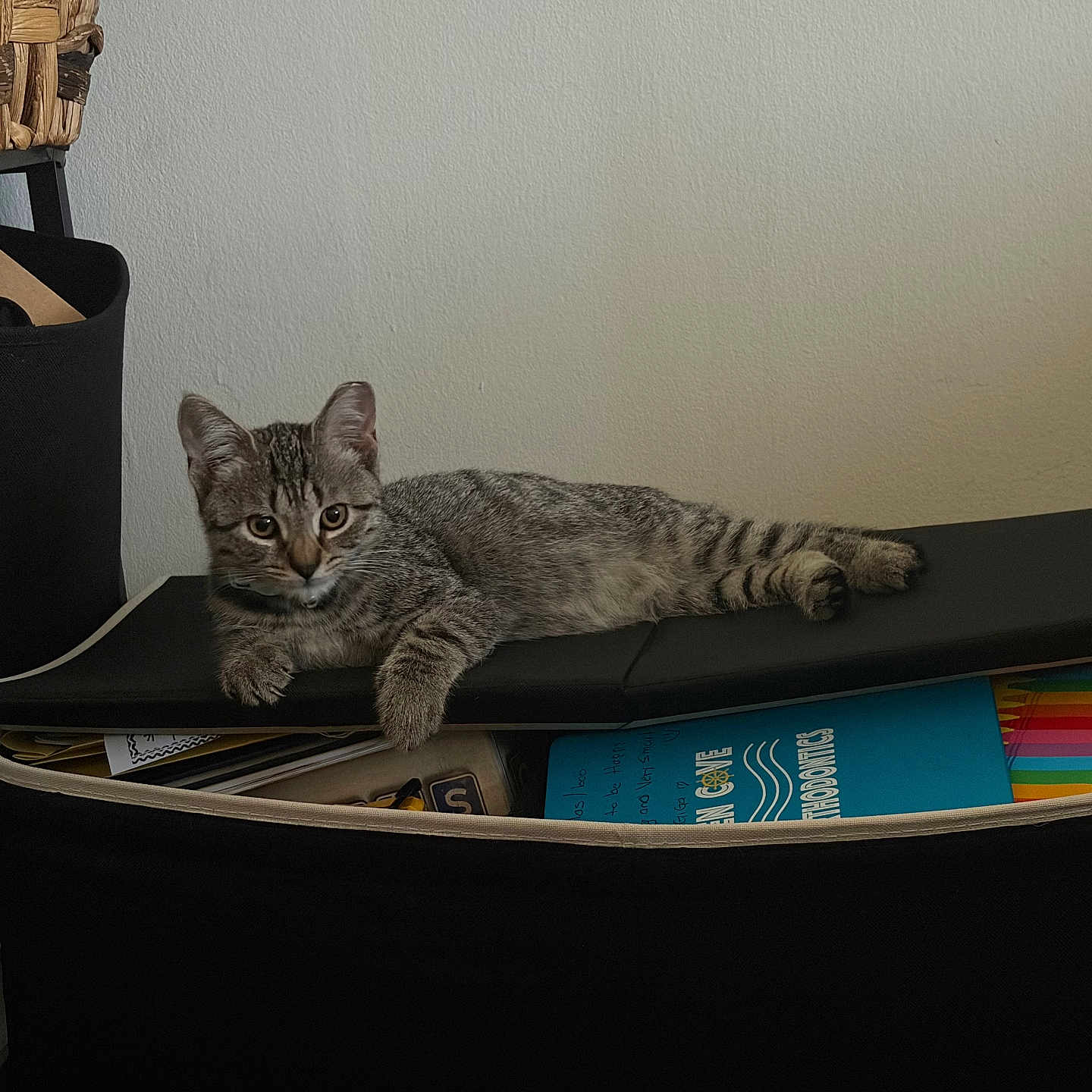 Mateo