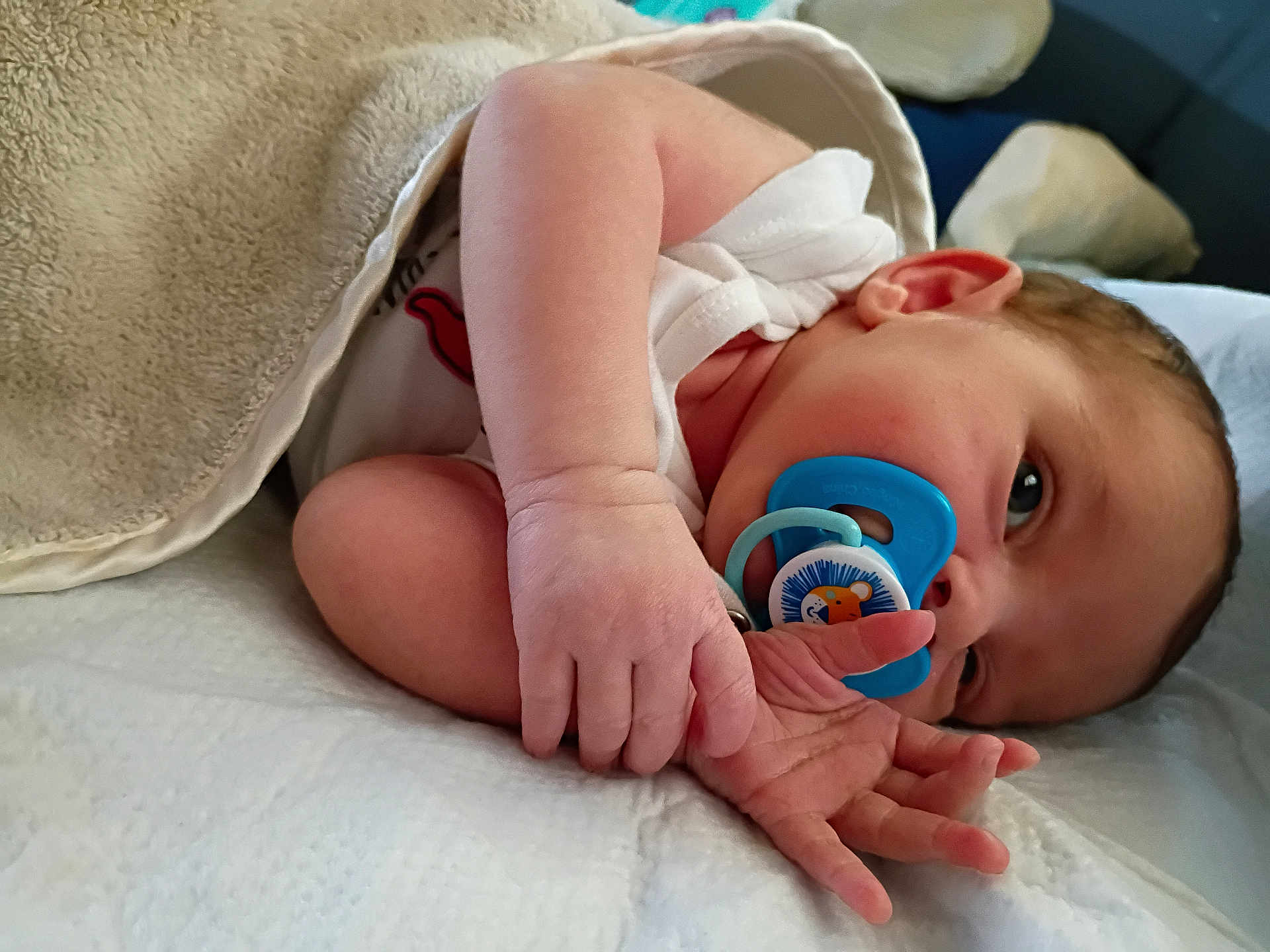Theresia joined the competition — help win amazing prizes! baby, newborn, pacifier, blanket, infant, sleeping, hand, face, skin, cute, lying_down, indoors, soft, comfort, closeup, small, peaceful, child, resting, nursery
