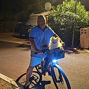 Voltaire participe au concours pour gagner de l'argent avec cette photo : basket, bicycle, bush, canine, casual_clothing, dog, headlight, lamp_post, leisure, man, night, outdoor, person, pet, road, shadow, sidewalk, streetlight, tree, vehicle