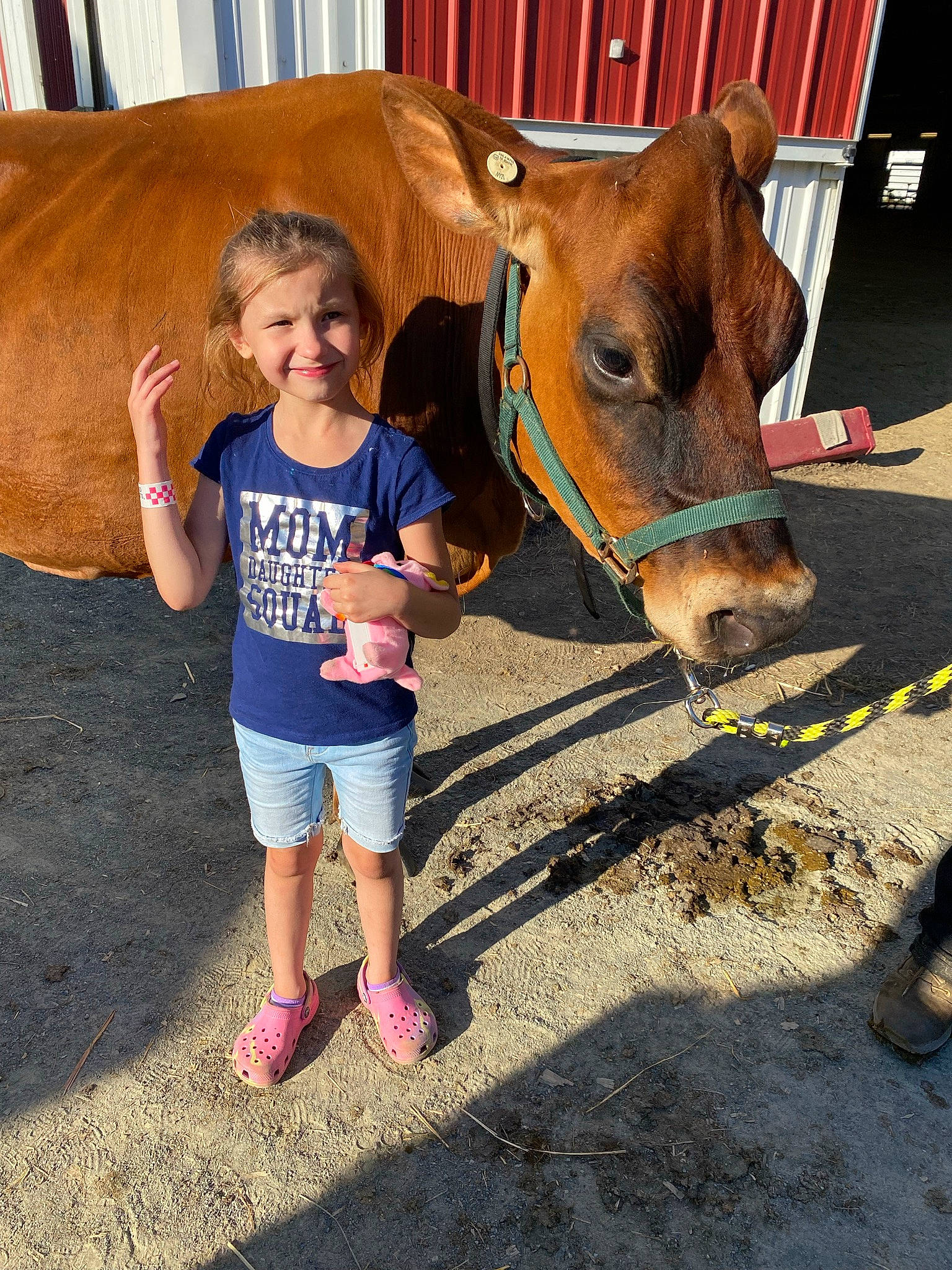 Ava is registered to the contest to win money with this photo: bovine, child, couch, dairy_cow, event, eye, face, fawn, fun, happy, head, human_leg, joy, landscape, leisure, livestock, mammal, person, shorts, t_shirt