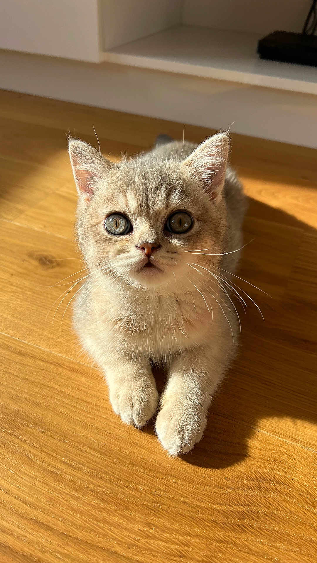 Aïko