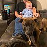 John-Michael is registered to the contest to win money with this photo: baby, child, man, adult, puppy, dog, couch, living_room, indoor, carpet, footwear, clothing, glasses, smile, hand, furniture, pet, person, sitting, relaxing