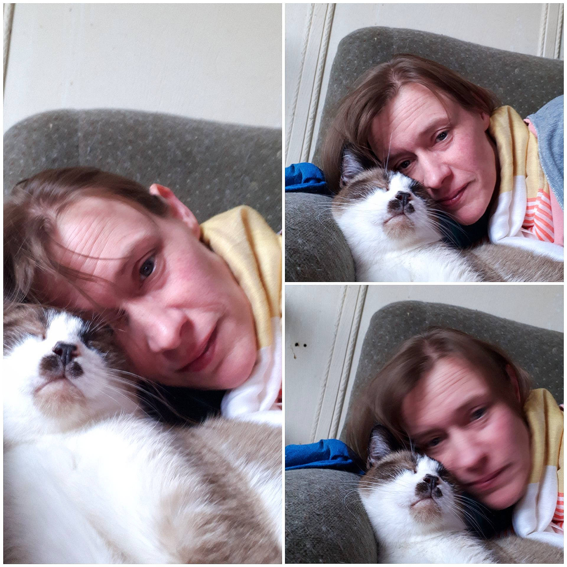 Jetlag a rejoint le concours — aidez-le/la à gagner de superbes lots ! beard, canidae, carnivore, cat, cheek, companion_dog, face, facial_hair, felidae, fur, gesture, hair, head, human, nose, photography, puppy, puppy_love, selfie, whiskers