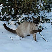 O'Malley a rejoint le concours — aidez-le/la à gagner de superbes lots !