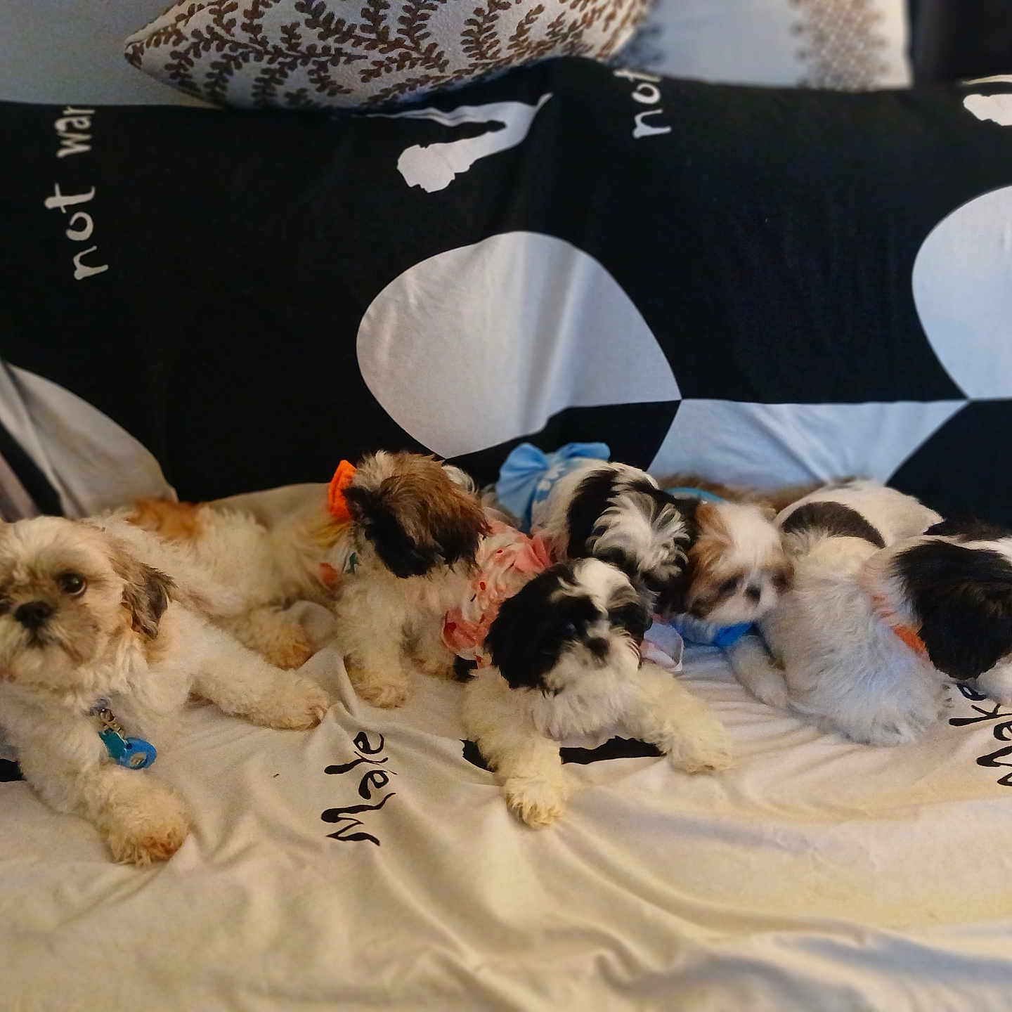 Elizabeth Jasperluna