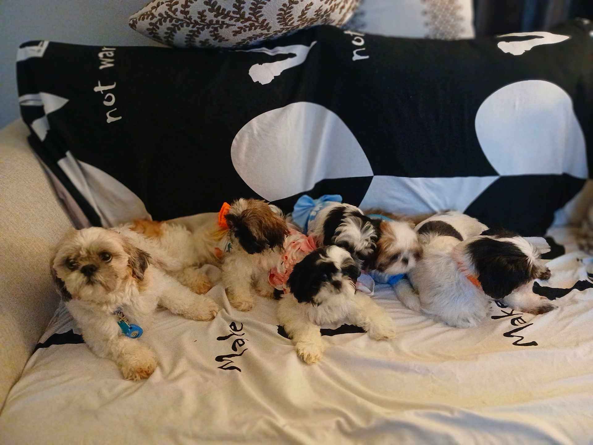 Elizabeth Jasperluna