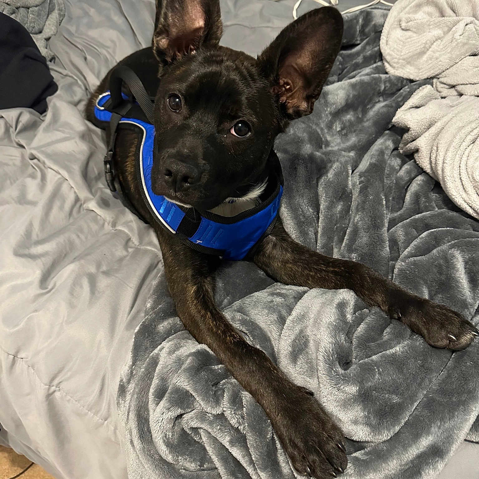 Marco