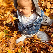 Ethan joined the competition — help win amazing prizes! toddler, child, autumn, fall_leaves, leaves, outdoor, nature, curious, denim_jacket, hoodie, casual_clothing, sitting, seasonal, playful, exploration, daylight, young_child, skin, face, portrait