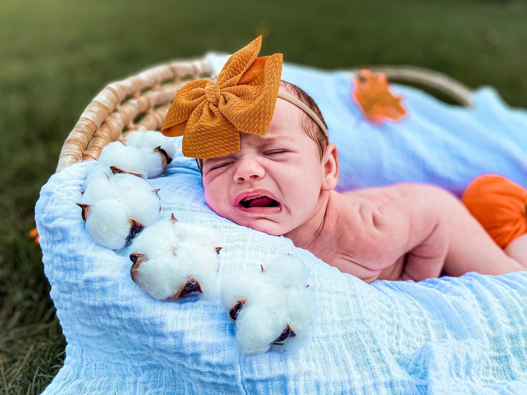 Kaydence is registered to the contest to win money with this photo: baby, baby_sleeping, bedtime, birth, blanket, child, happy, nap, person, photograph, photography, play, product, skin, sleep, sorrow, textile, toddler