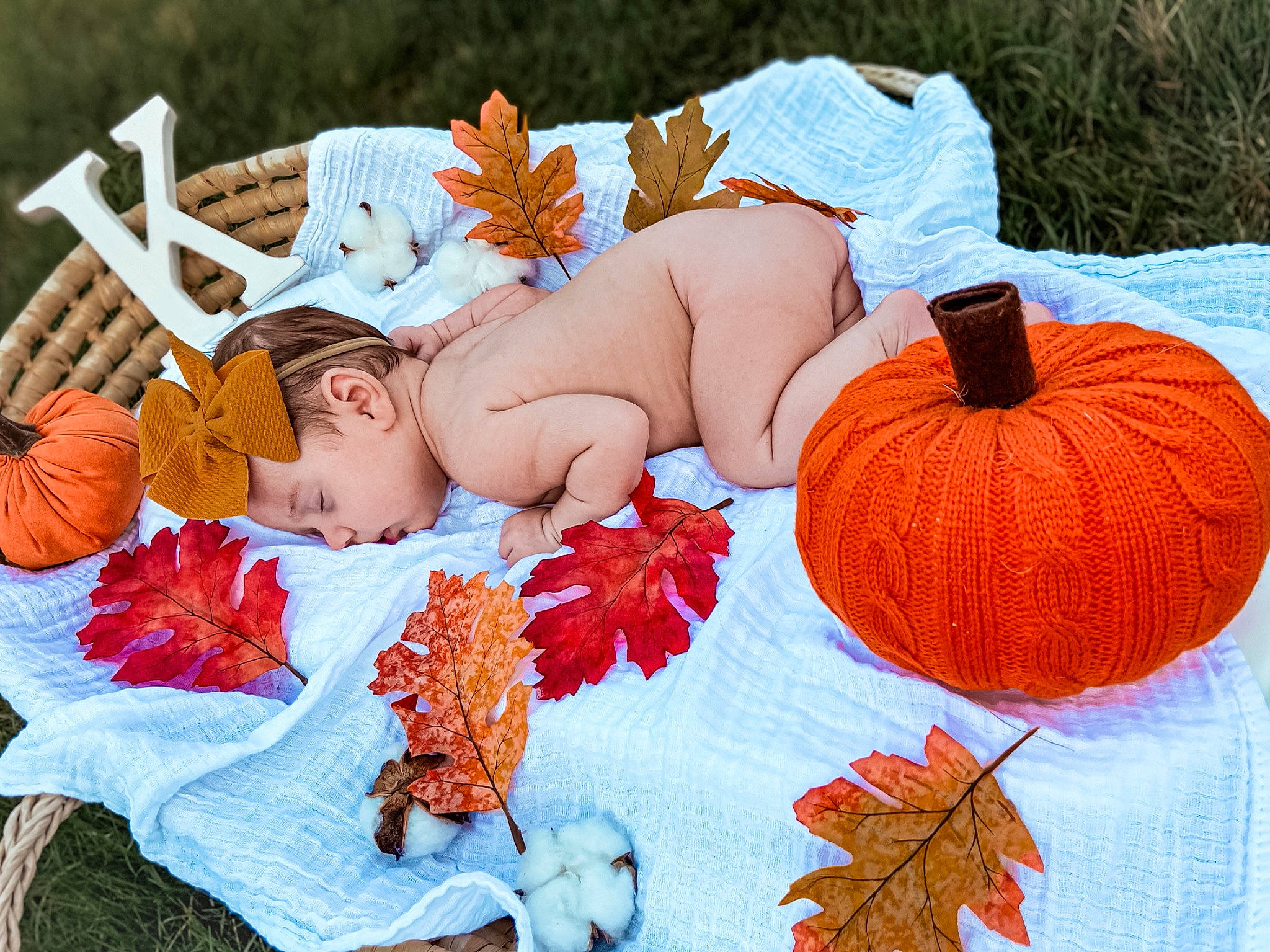 Kaydence joined the competition — help win amazing prizes! autumn, baby, calabaza, child, cucurbita, gourd, leaf, orange, person, plant, pumpkin, squash, toddler, vegetable, winter_squash
