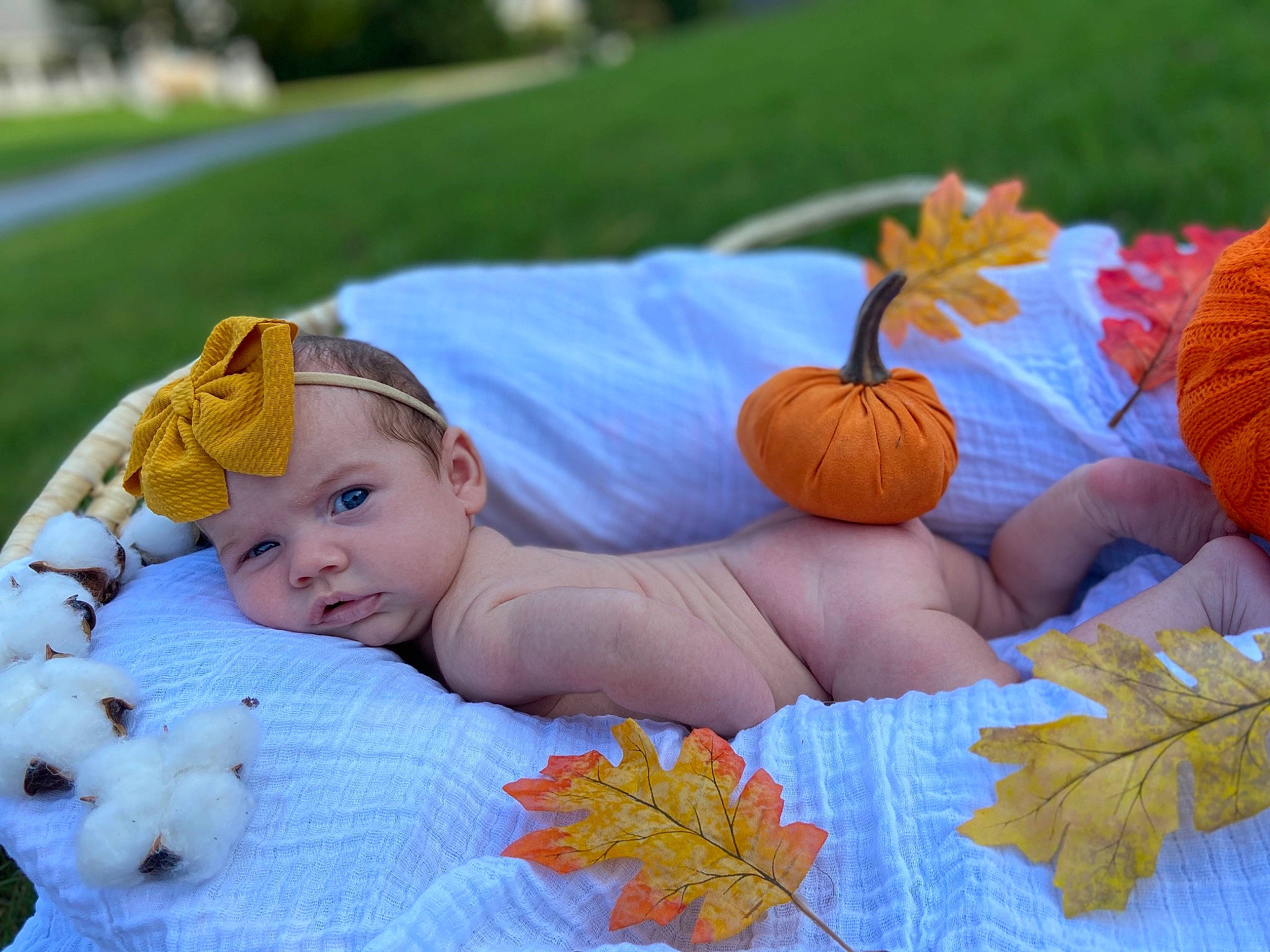 Kaydence is registered to the contest to win money with this photo: autumn, baby, baby_products, baby_sleeping, calabaza, child, cucurbita, grass, leaf, orange, person, plant, product, pumpkin, smile, toddler, tree, winter_squash, yellow