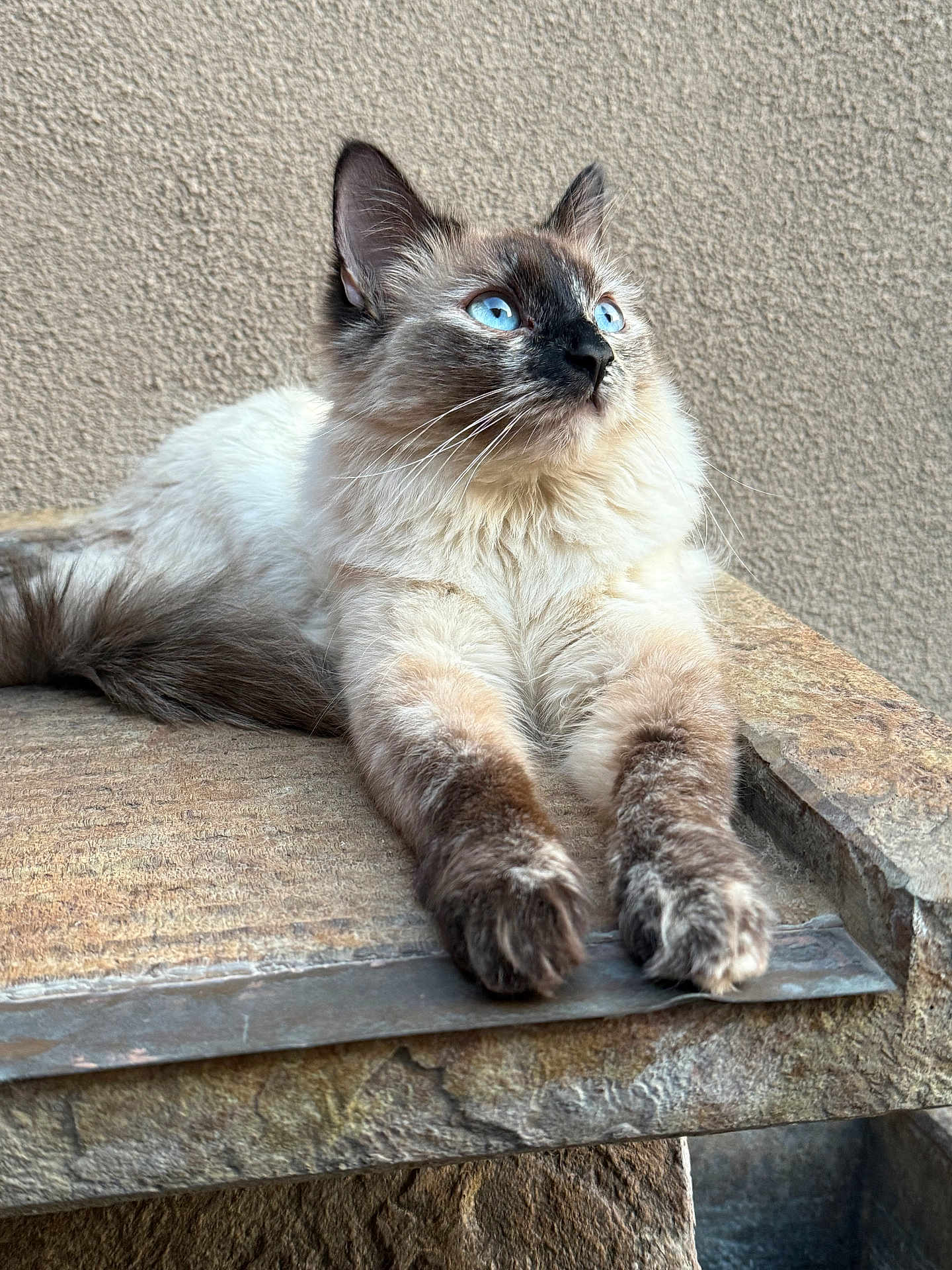 Marie