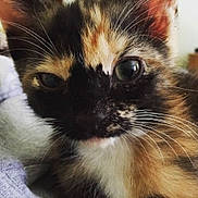 Mini is registered to the contest to win money with this photo: