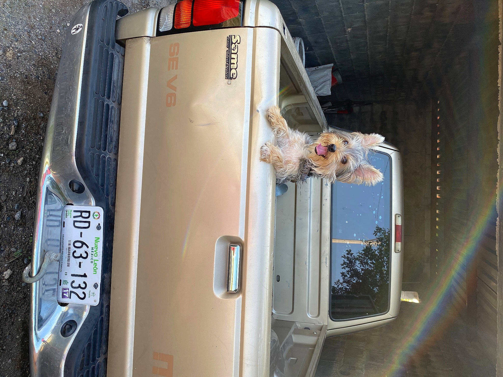 Cody joined the competition — help win amazing prizes! automotive_exterior, car, compact_car, family_car, gas, vehicle, vehicle_door