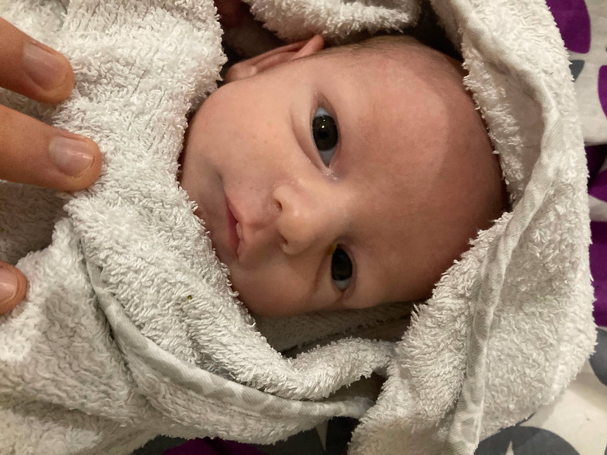 Jullian a rejoint le concours — aidez-le/la à gagner de superbes lots ! baby, cheek, chin, eye, eyebrow, eyelash, facial_expression, finger, fur_clothing, happy, head, human_body, iris, lip, mouth, nose, organ, person, plant, skin