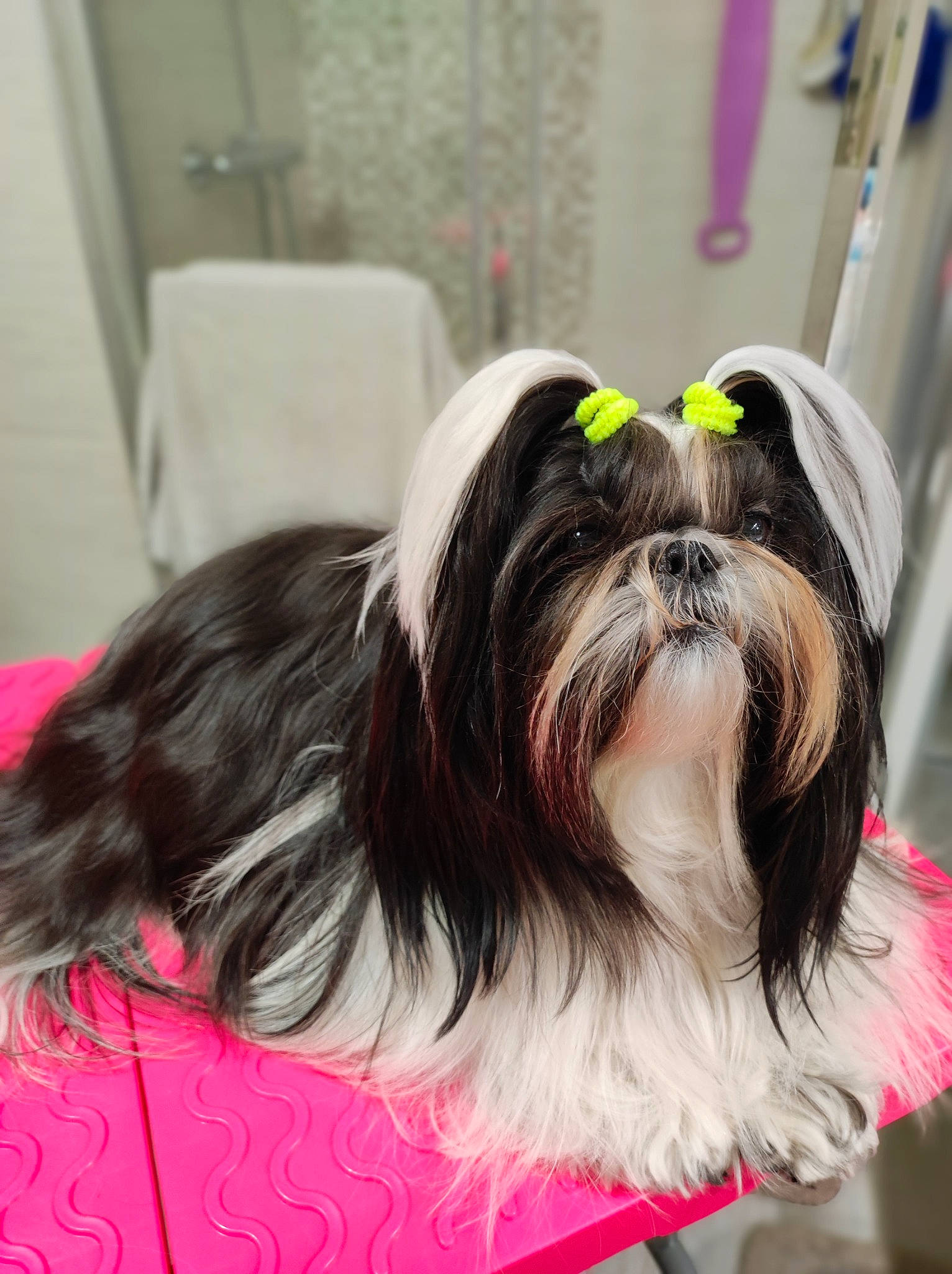 Ruby Stone De Fu Xing