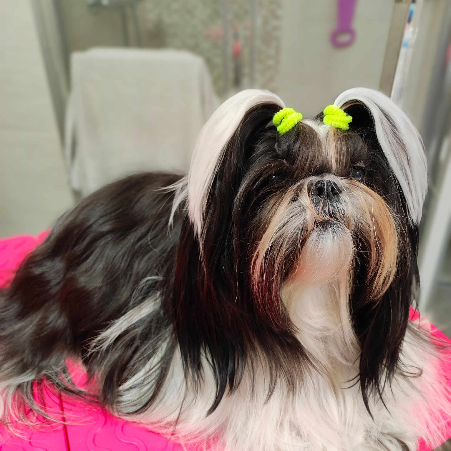 Ruby Stone De Fu Xing