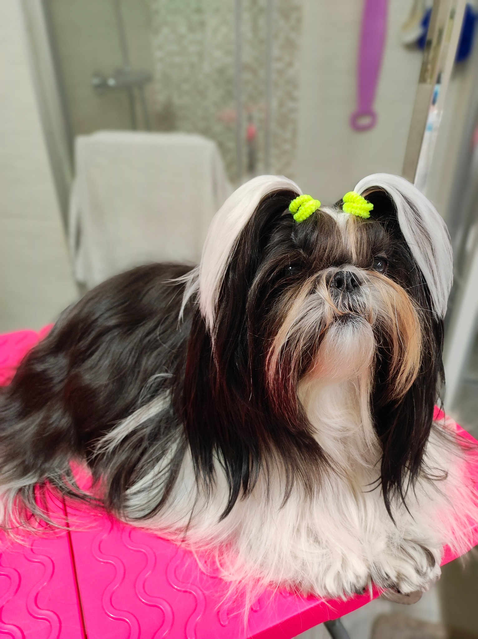 Ruby Stone De Fu Xing