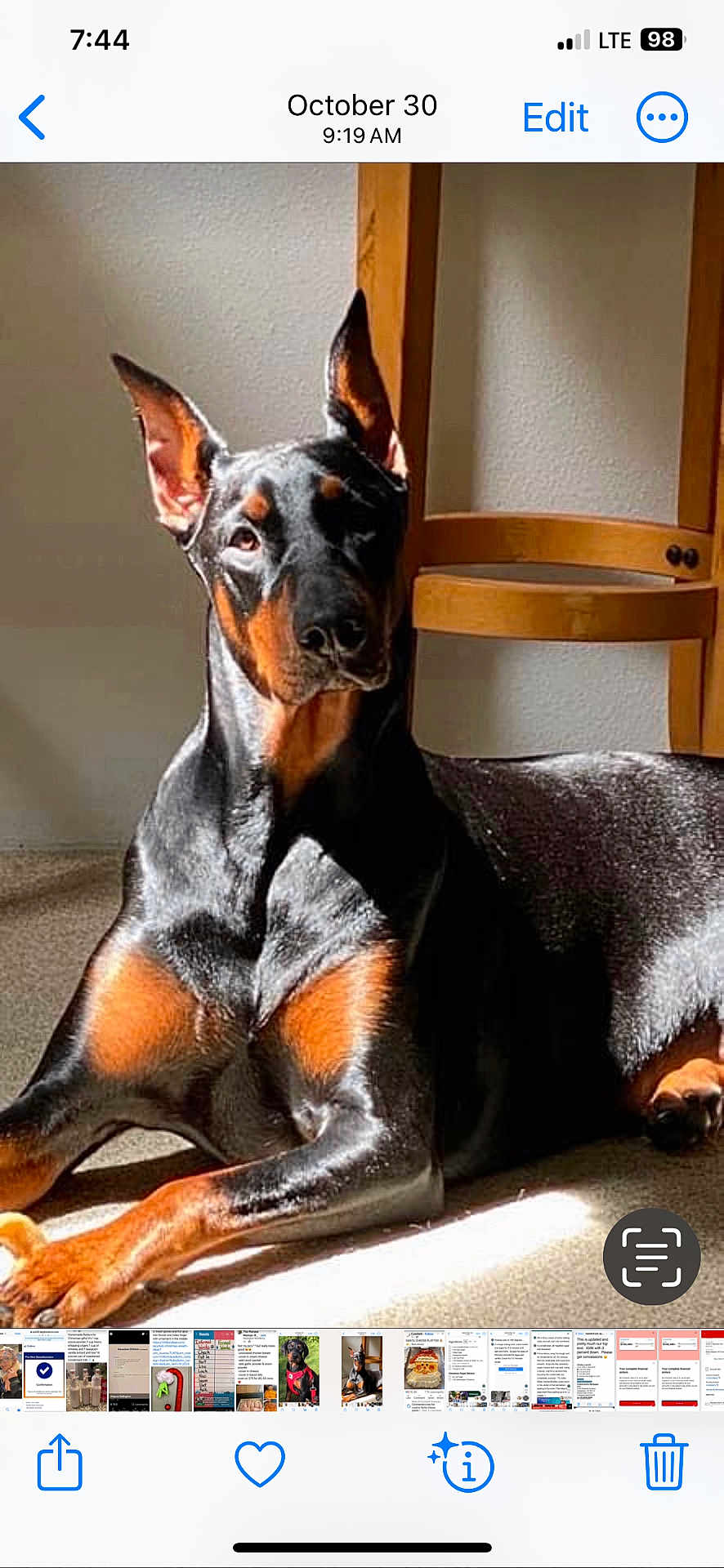 Stella Bean