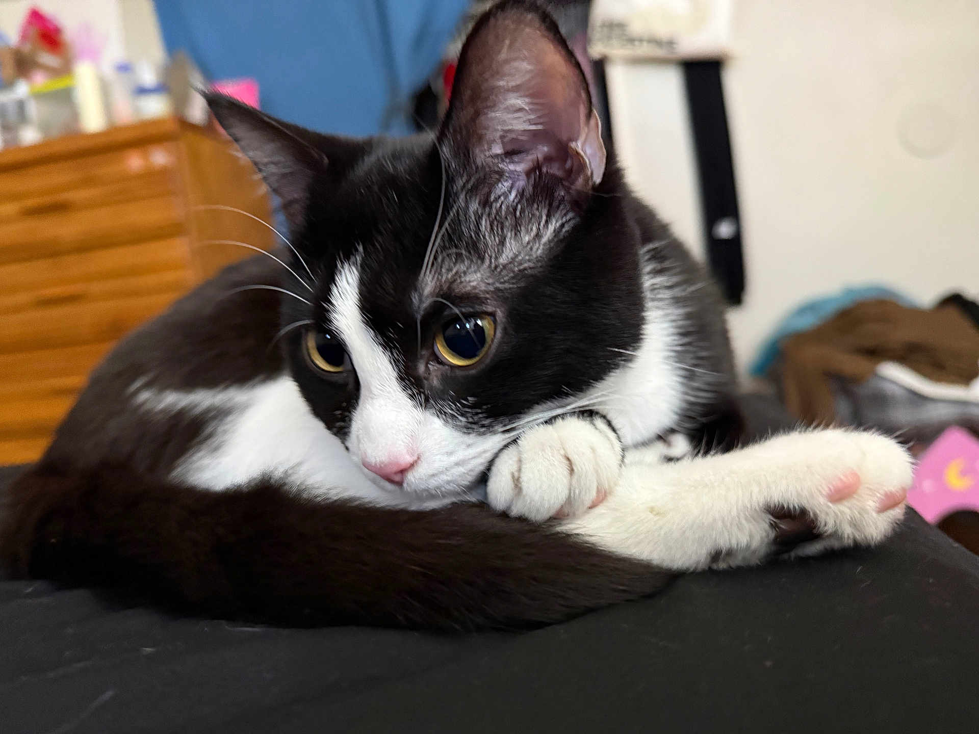 Mittens