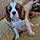 Lilah