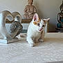 animal, buddha_statue, cat, curious, cute, decor, feline, heart_sculpture, indoor, kitten, orange_cat, ornament, pet, playful, small, still_life, table, tablecloth, white_cat, young