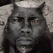 Faggot is registered to the contest to win money with this photo: animal, black_cat, blurred_background, close_up, composite, creative, dark_fur, digital_art, expression, face_merge, fur, headshot, human_face, hybrid_image, mystical, oddity, patterned_background, portrait, surreal, whiskers
